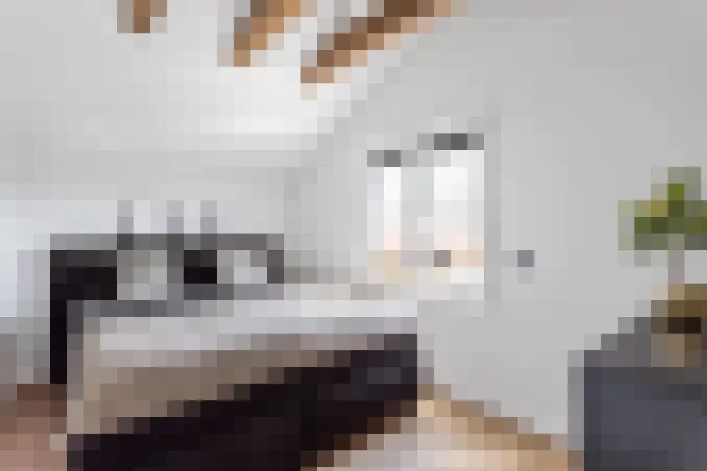 Oranjestraat 20 Denekamp thumbnail 13