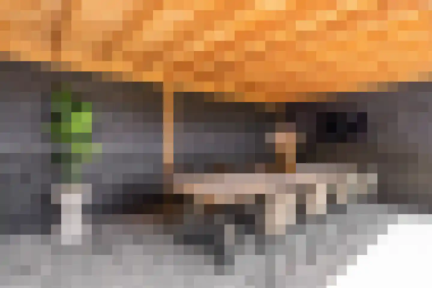 Oranjestraat 20 Denekamp thumbnail 19