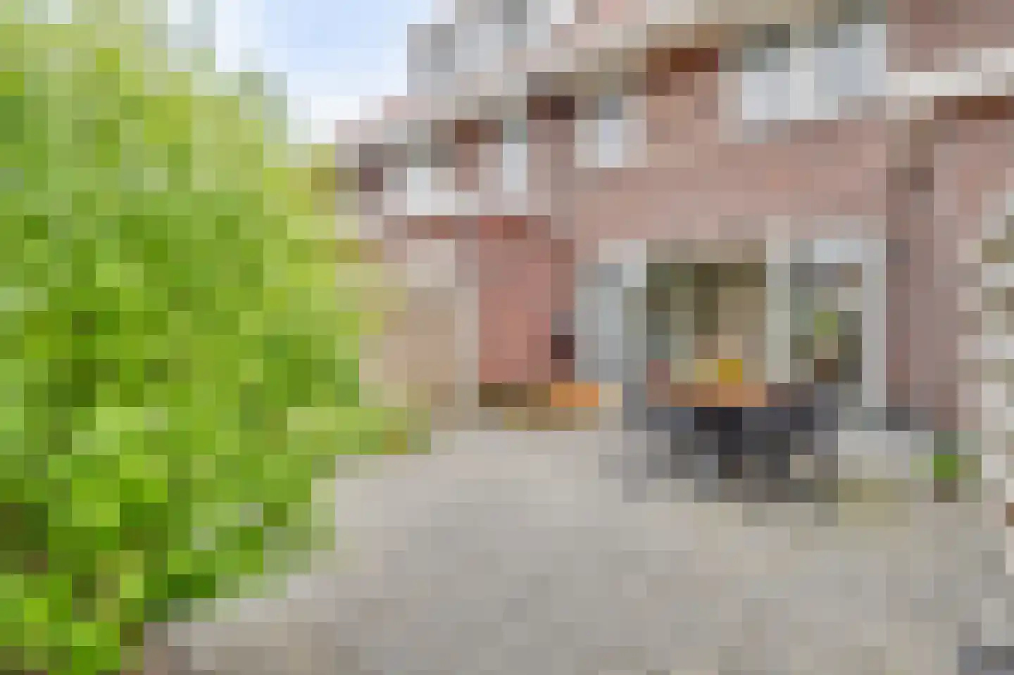 Oranjestraat 20 Noord-Scharwoude thumbnail 32