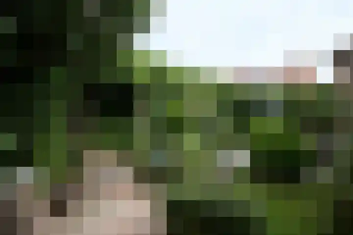 Oranjestraat 20 Terneuzen thumbnail 17