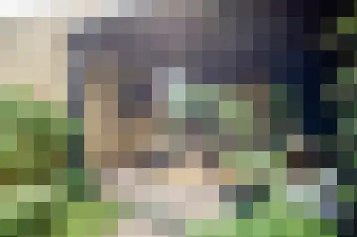 Oranjestraat 20 Terneuzen thumbnail 4