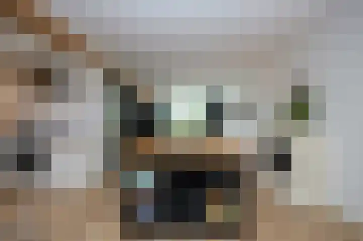 Oranjestraat 20 Terneuzen thumbnail 8