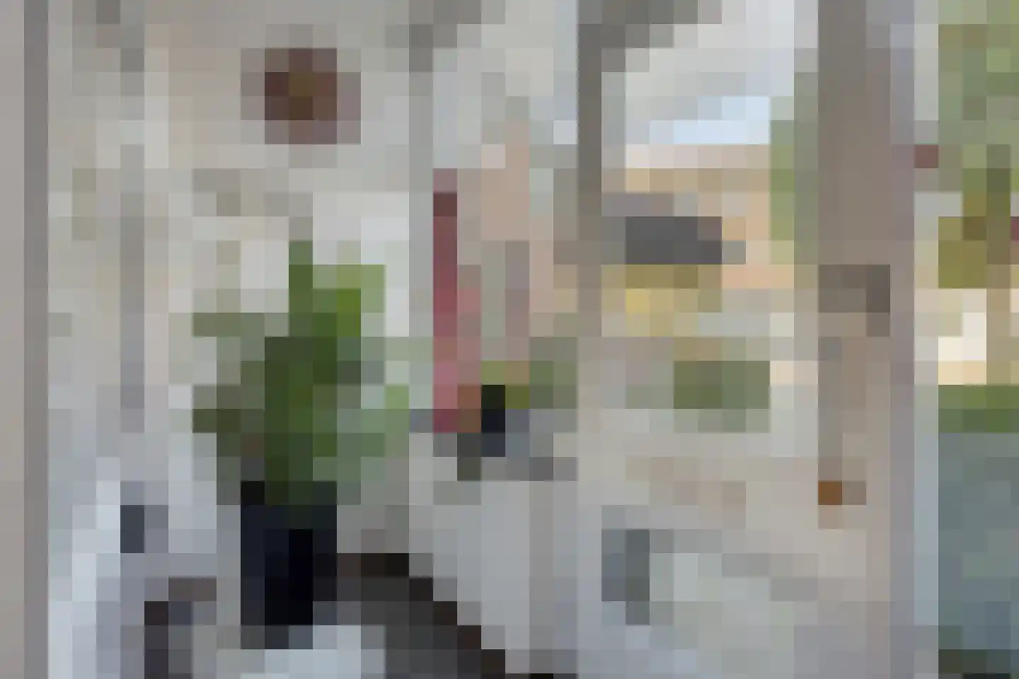 Oranjestraat 21 Hoensbroek thumbnail 8