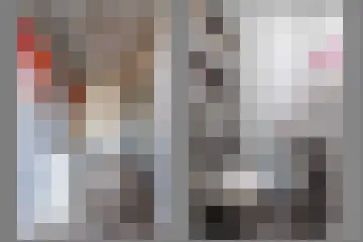 Oranjestraat 22 A Elst Ut thumbnail 12