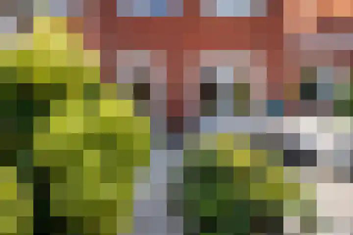 Oranjestraat 22 A Elst Ut thumbnail 27
