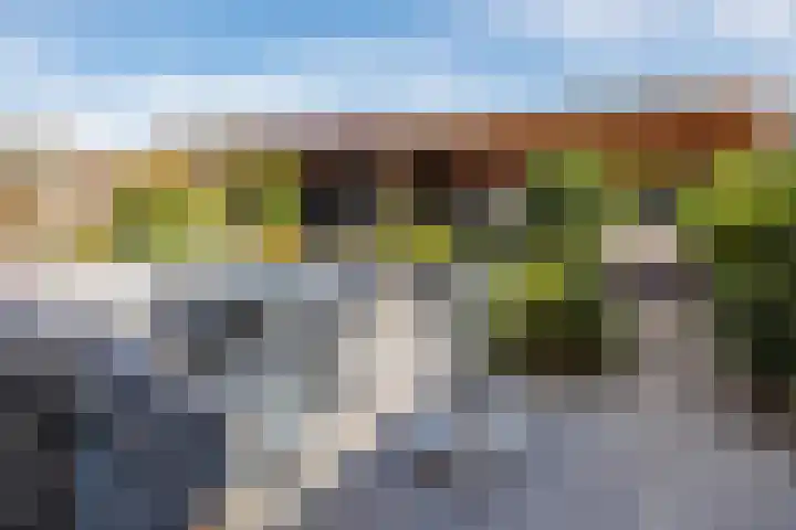 Oranjestraat 22 A Elst Ut thumbnail 29