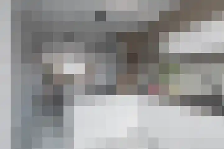 Oranjestraat 22 Arkel thumbnail 11