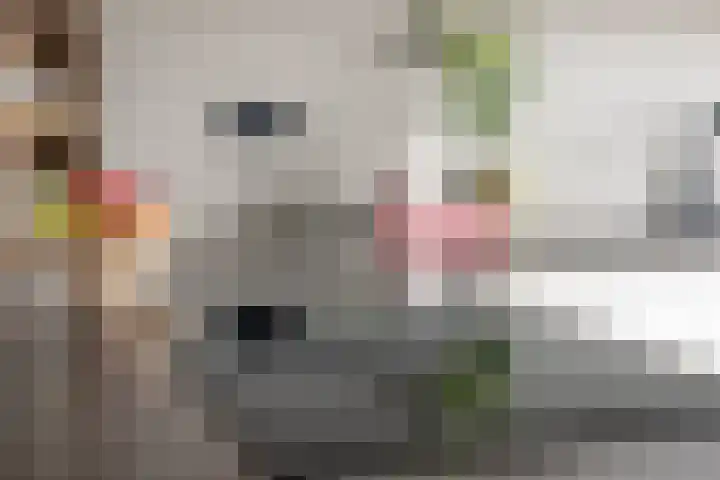 Oranjestraat 22 Arkel thumbnail 14