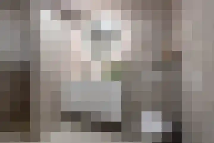 Oranjestraat 22 Arkel thumbnail 20