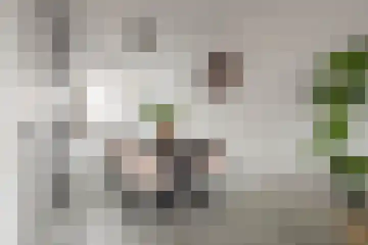 Oranjestraat 22 Arkel thumbnail 8