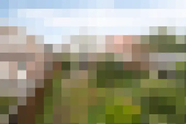 Oranjestraat 22 Lunteren thumbnail 26