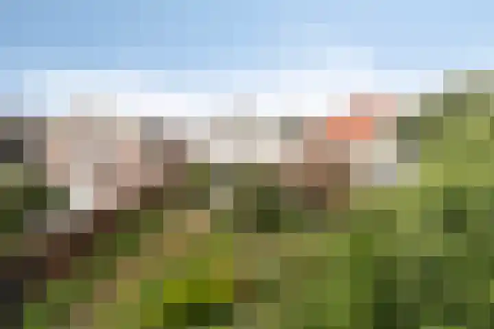 Oranjestraat 22 Lunteren thumbnail 27