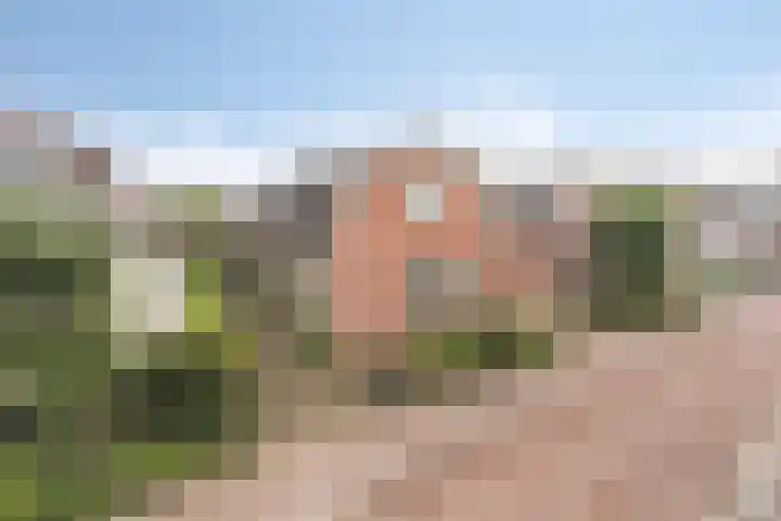 Oranjestraat 22 Lunteren thumbnail 28