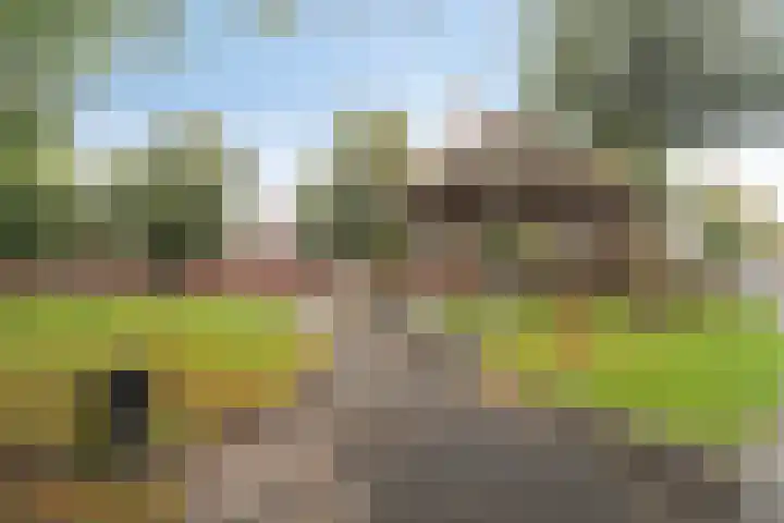 Oranjestraat 22 Lunteren thumbnail 31