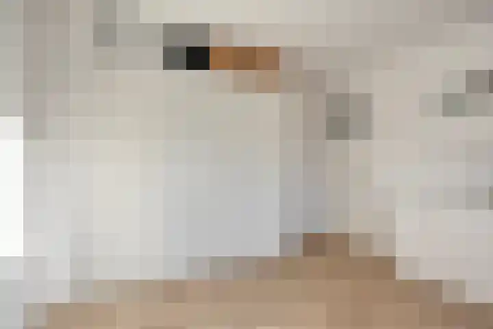 Oranjestraat 22 Schelluinen thumbnail 17