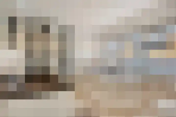 Oranjestraat 22 Schelluinen thumbnail 19