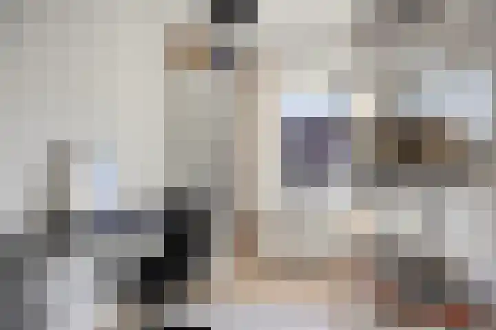 Oranjestraat 22 Schelluinen thumbnail 23