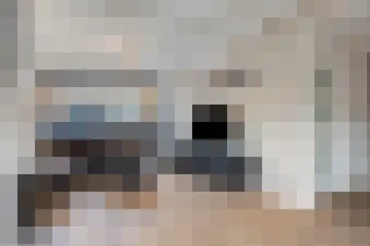 Oranjestraat 22 Schelluinen thumbnail 5