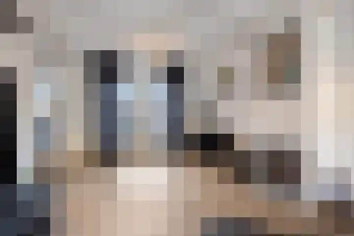 Oranjestraat 22 Schelluinen thumbnail 7