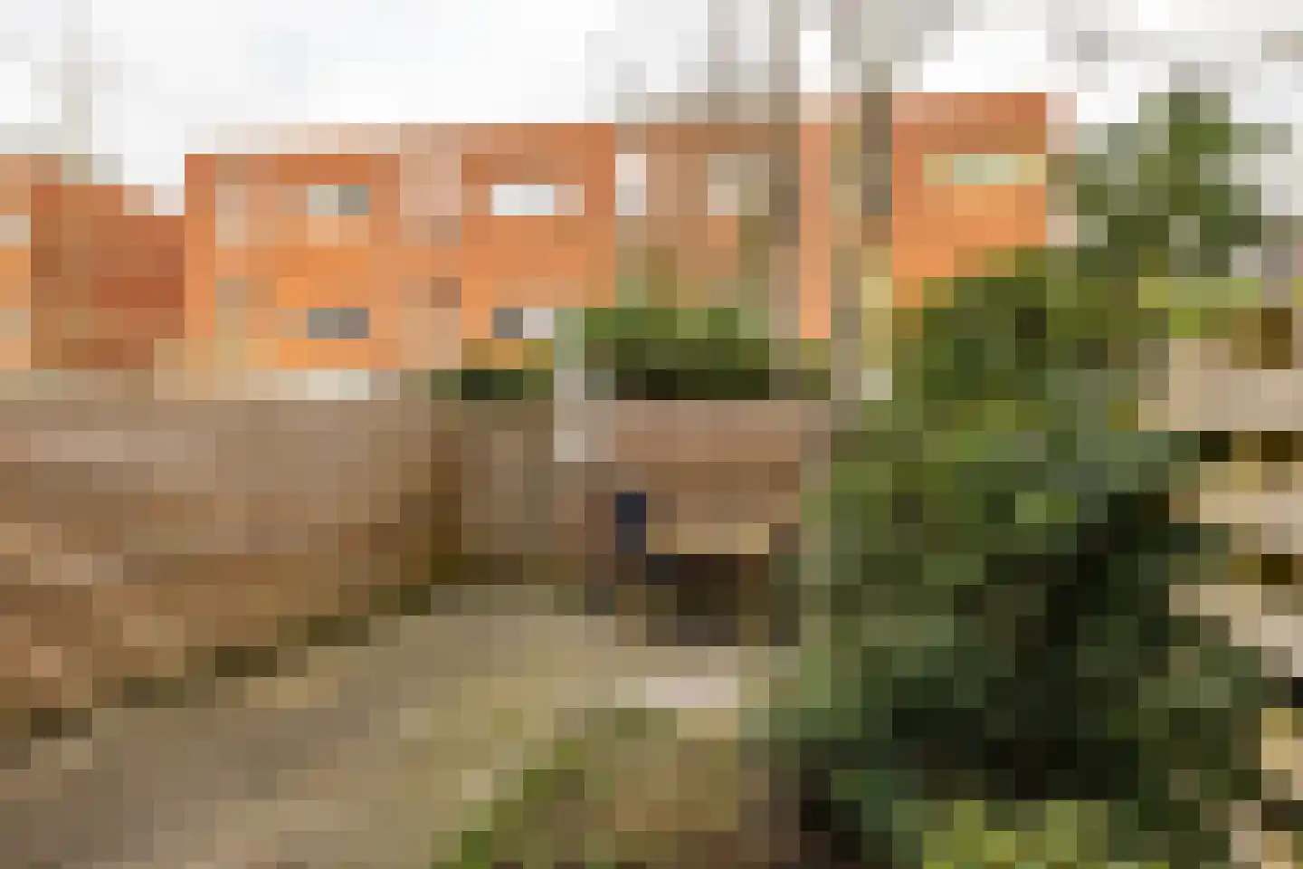 Oranjestraat 23 d Groningen thumbnail 16