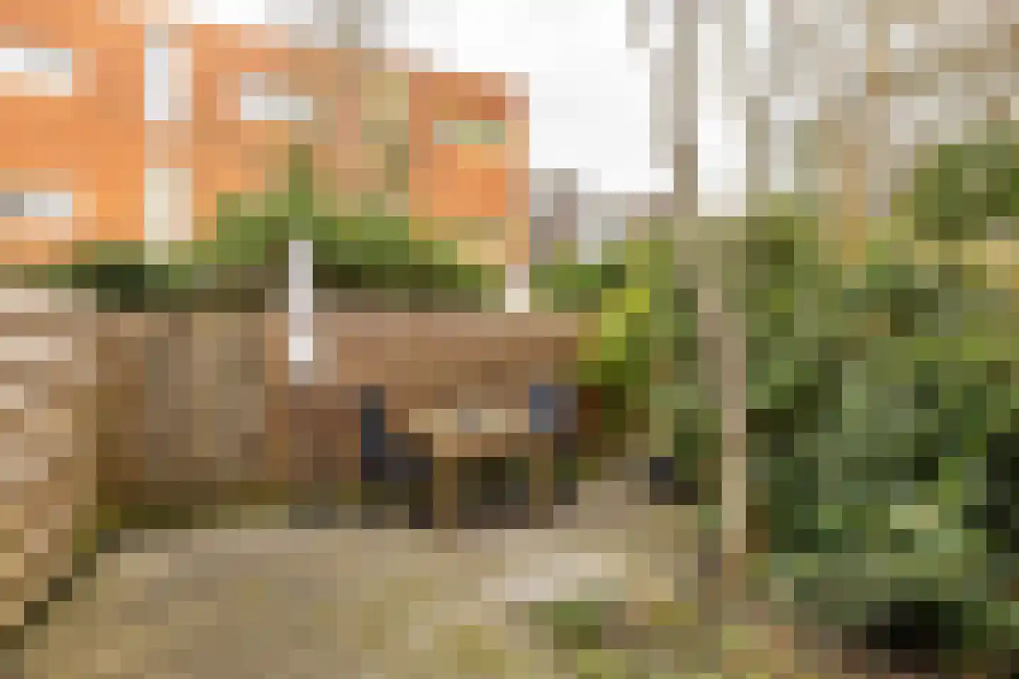 Oranjestraat 23 d Groningen thumbnail 17