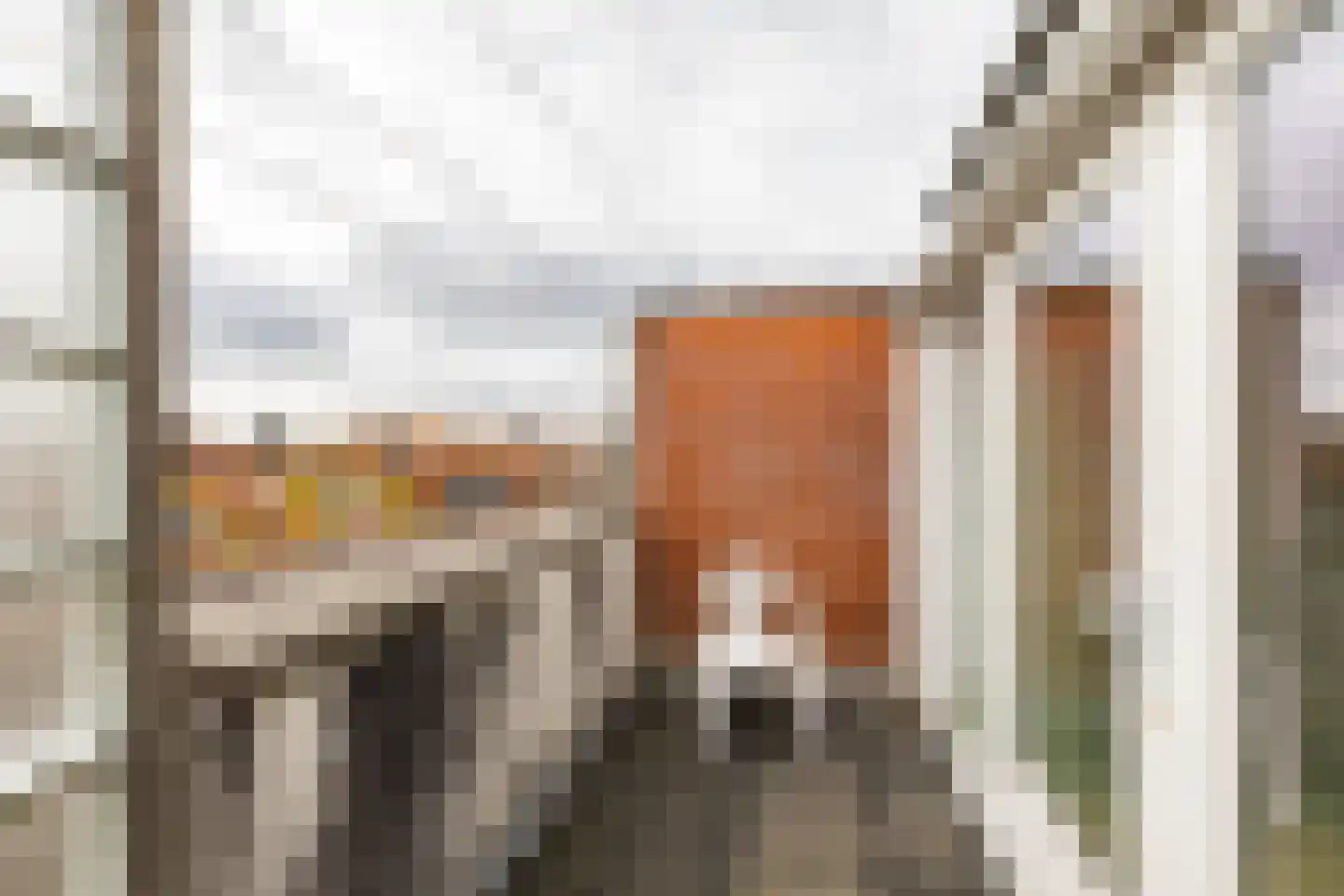 Oranjestraat 23 d Groningen thumbnail 37
