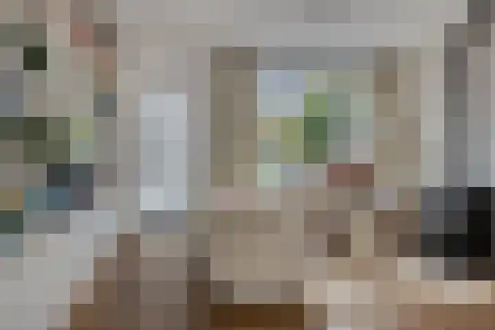 Oranjestraat 23 Hendrik-Ido-Ambacht thumbnail 8
