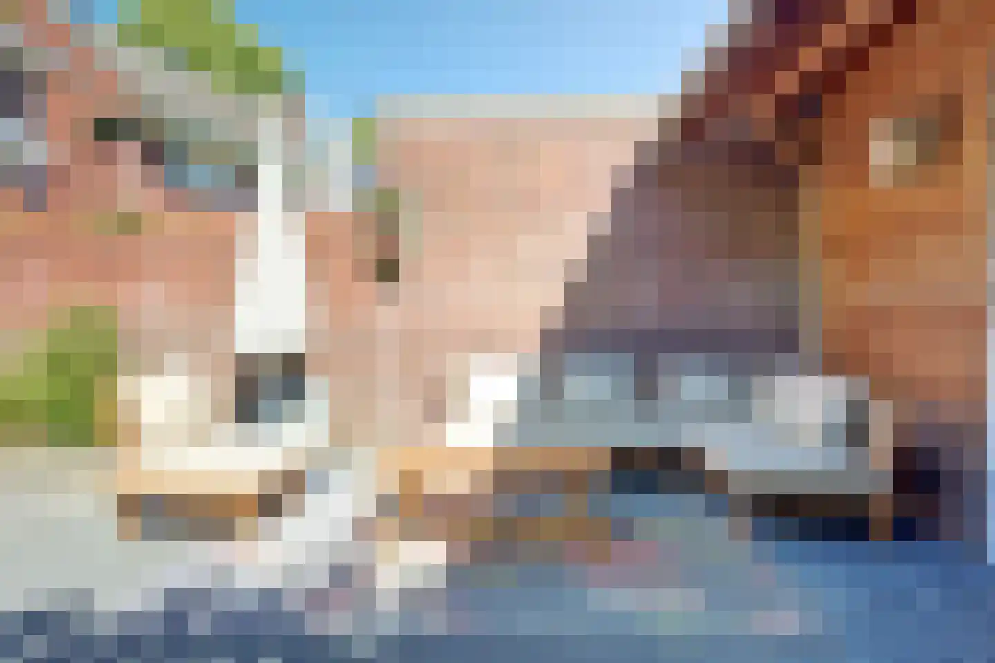 Oranjestraat 23 Ridderkerk thumbnail 45