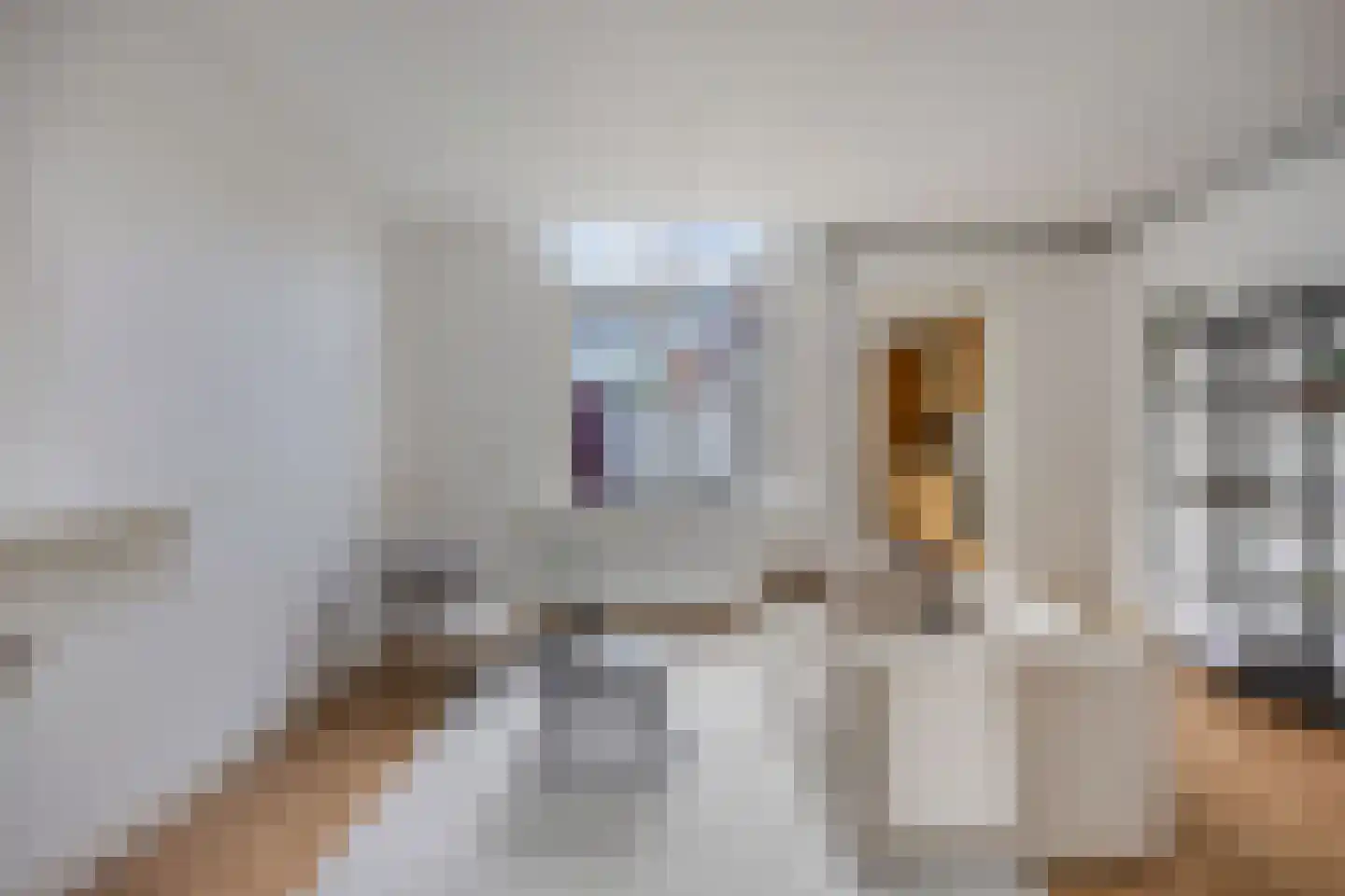 Oranjestraat 24 Alphen aan den Rijn thumbnail 11