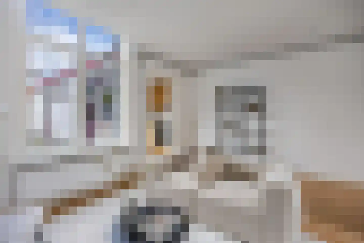Oranjestraat 24 Alphen aan den Rijn thumbnail 12