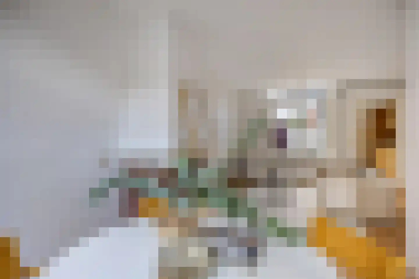 Oranjestraat 24 Alphen aan den Rijn thumbnail 21