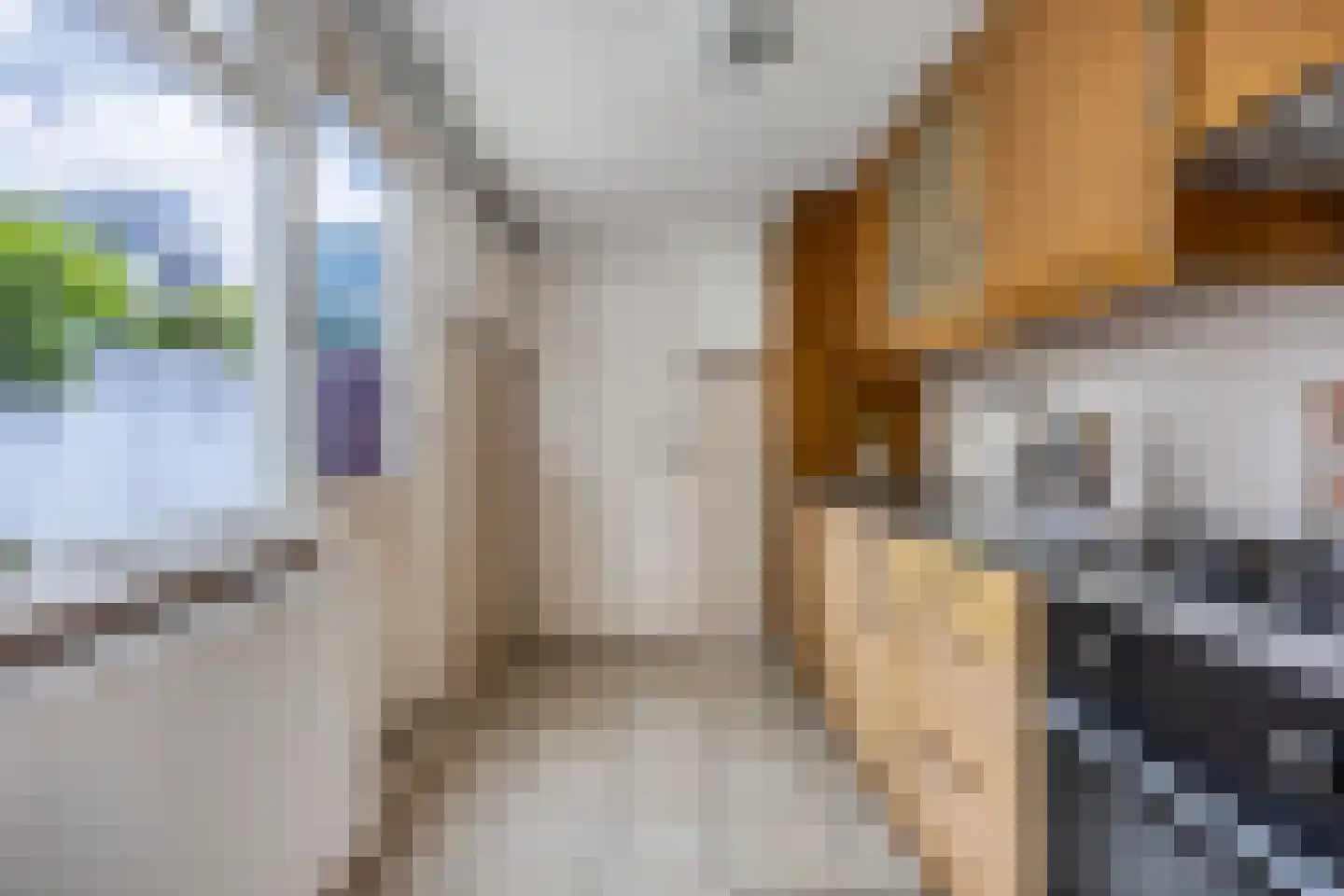 Oranjestraat 24 Alphen aan den Rijn thumbnail 23