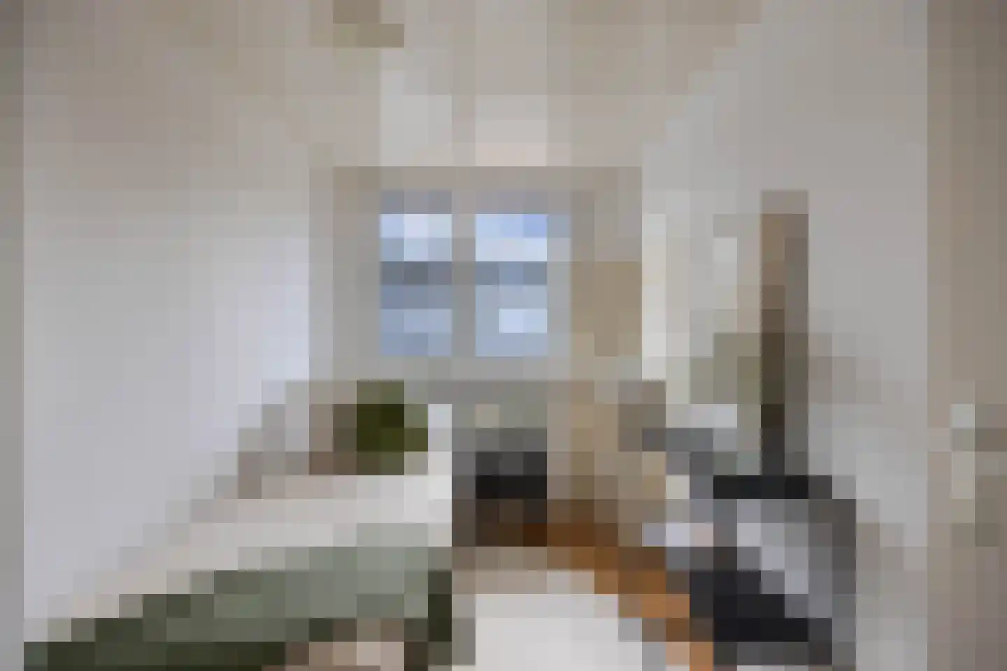 Oranjestraat 24 Alphen aan den Rijn thumbnail 35