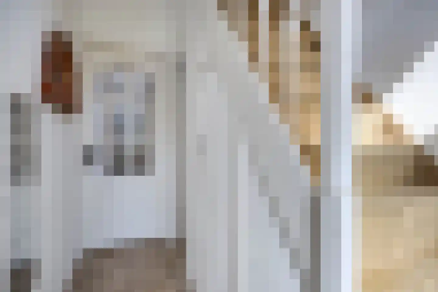 Oranjestraat 24 Alphen aan den Rijn thumbnail 9