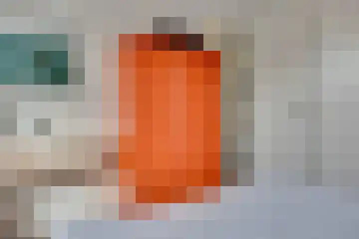 Oranjestraat 24 C Elst Ut thumbnail 13