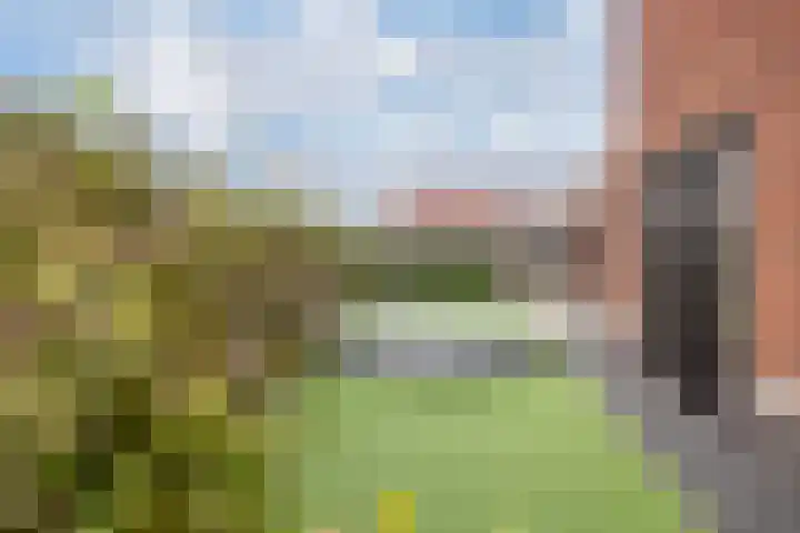 Oranjestraat 24 C Elst Ut thumbnail 26