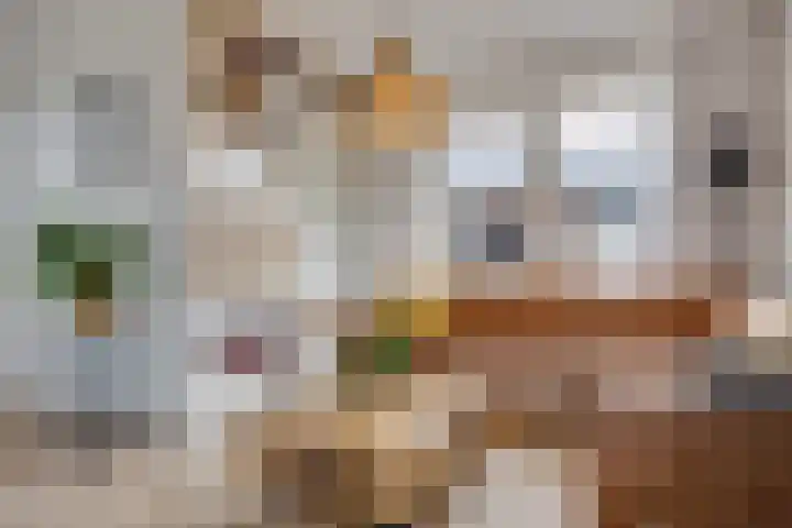 Oranjestraat 24 C Elst Ut thumbnail 7