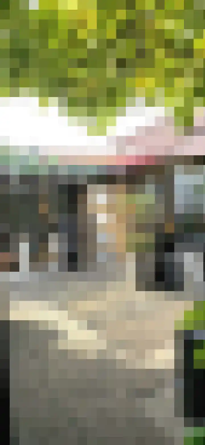 Oranjestraat 24 c Terneuzen thumbnail 22