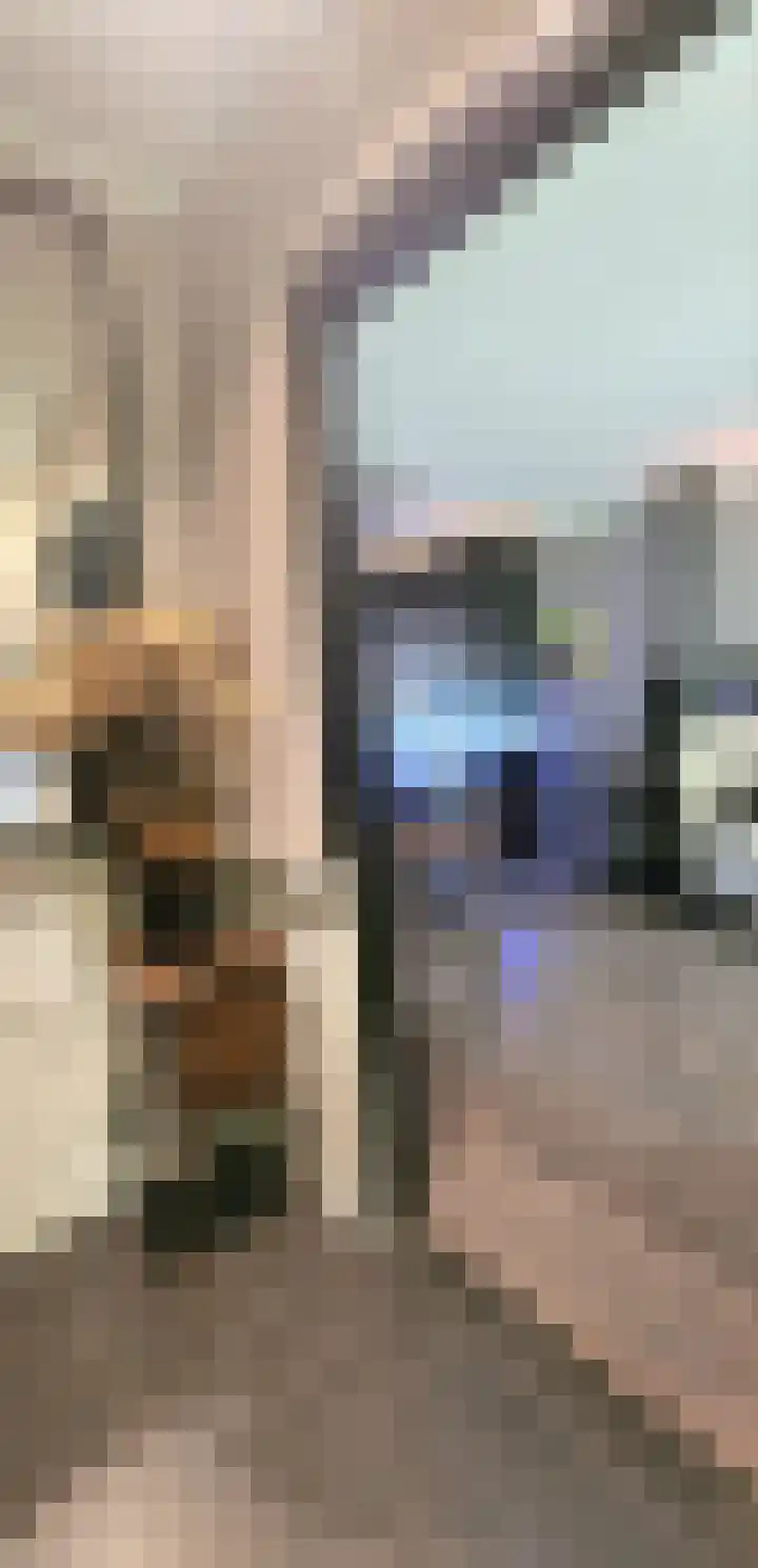 Oranjestraat 24 c Terneuzen thumbnail 6