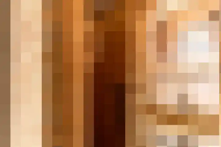 Oranjestraat 24 Silvolde thumbnail 23