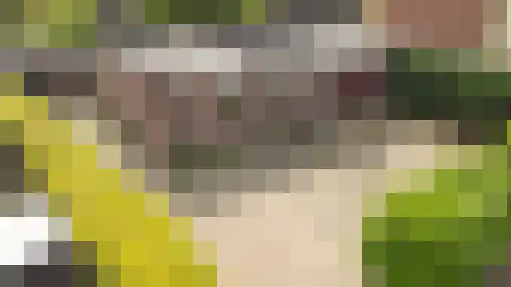 Oranjestraat 24 Silvolde thumbnail 4