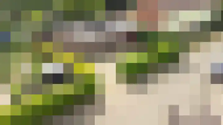 Oranjestraat 24 Silvolde thumbnail 6