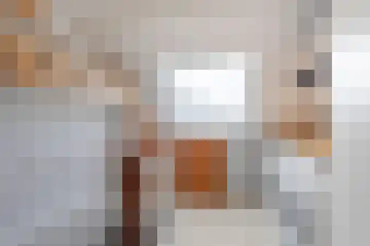Oranjestraat 24 Sliedrecht thumbnail 34