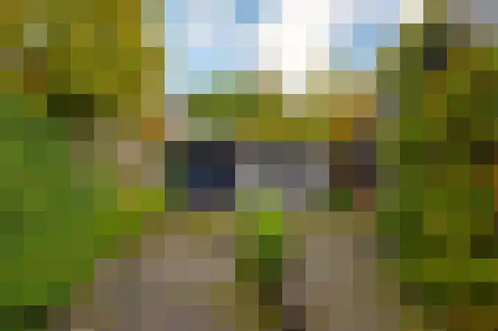 Oranjestraat 24 Sliedrecht thumbnail 36