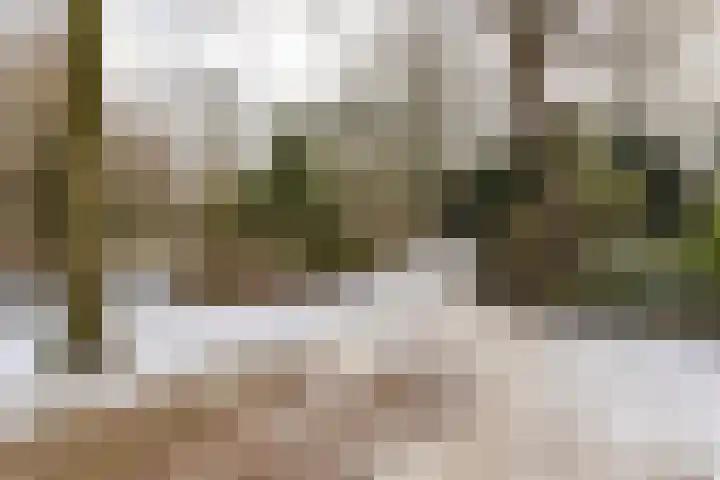 Oranjestraat 25 b Groningen thumbnail 7