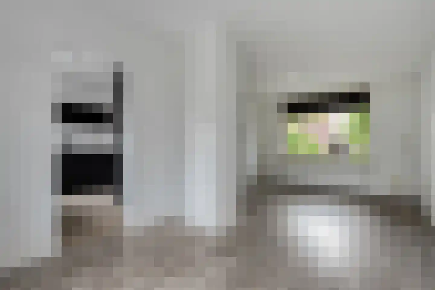 Oranjestraat 25 Losser thumbnail 12