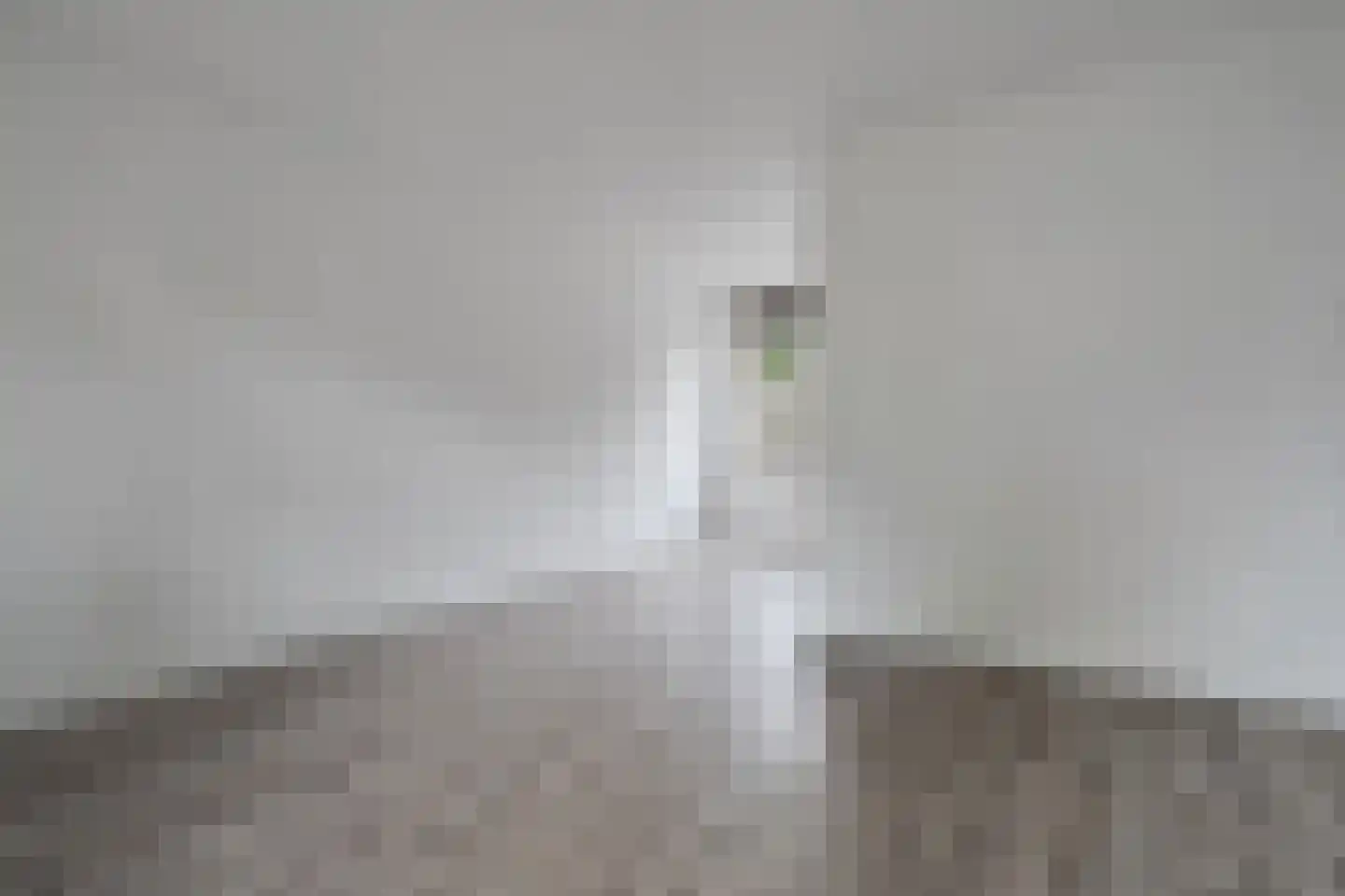 Oranjestraat 25 Losser thumbnail 15