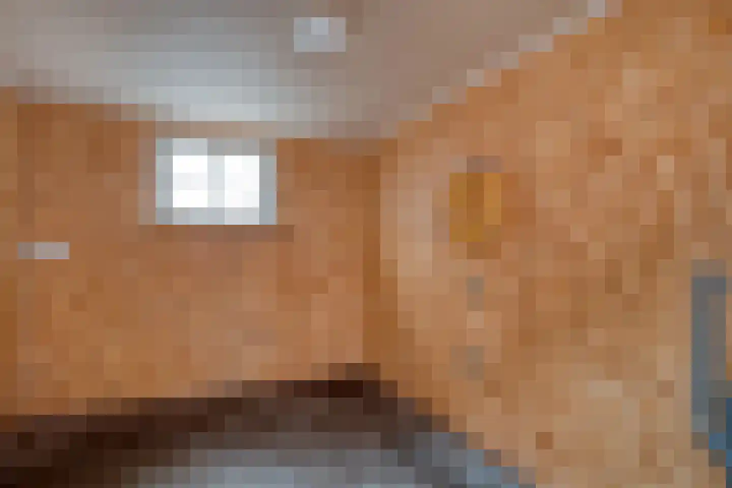 Oranjestraat 25 Losser thumbnail 27