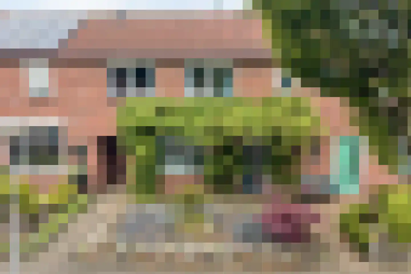 Oranjestraat 25 Losser thumbnail 36