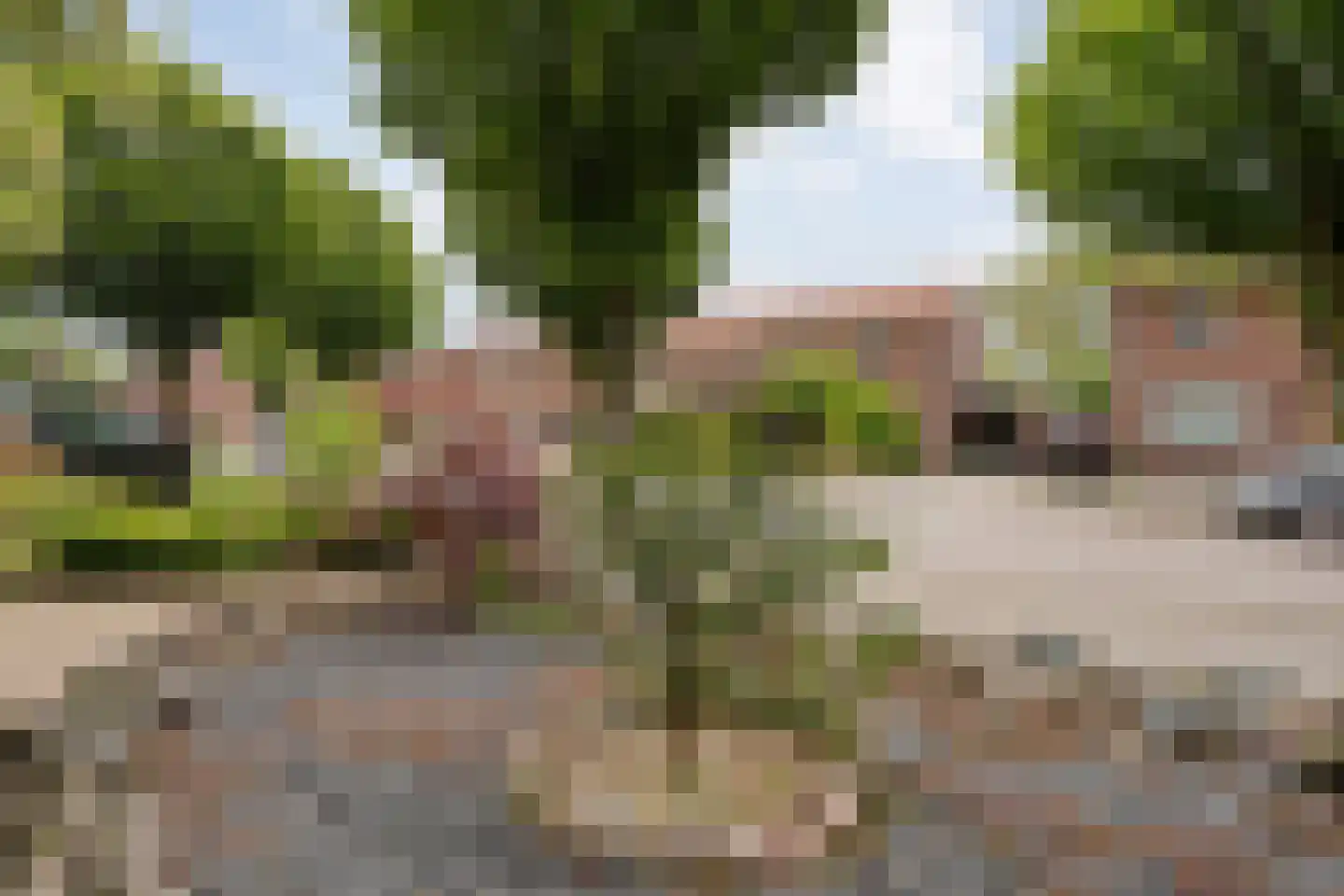 Oranjestraat 25 Losser thumbnail 38
